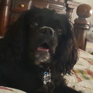 Meet your Posher, Ken